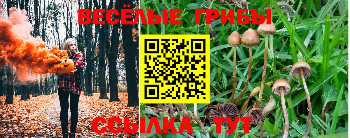 продажа наркотиков  Галлюциногенные грибы Cubensis  Вход с VPN  Березники 